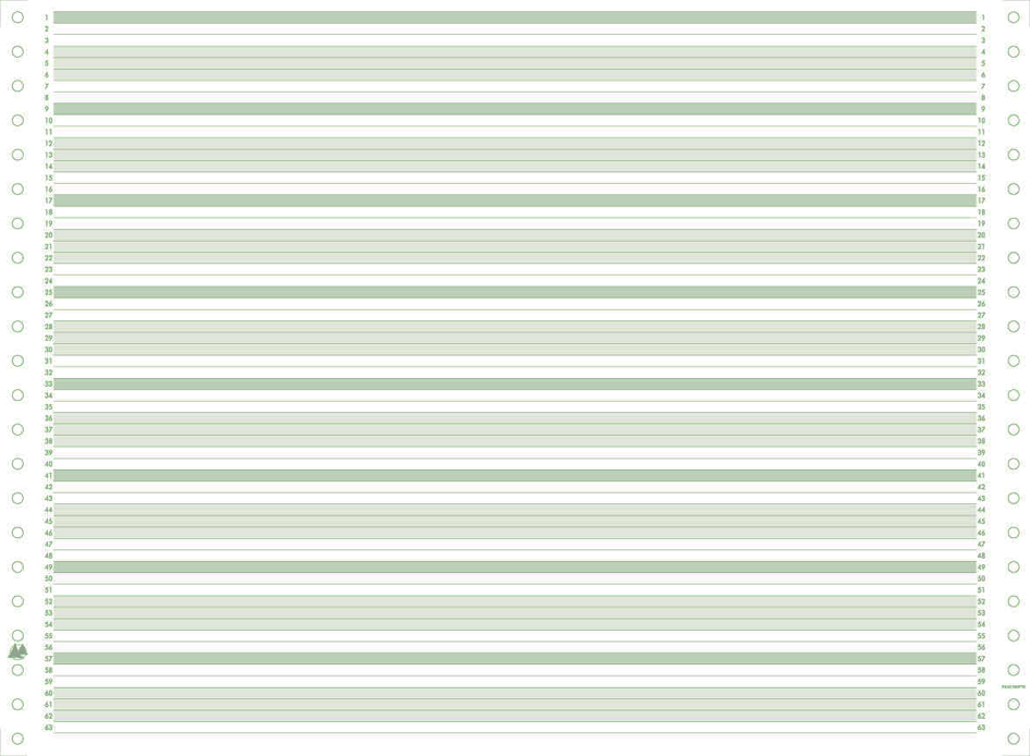 EXACOMPTA Computerpapier endlos, 380 mm x 11´ (27,94 cm)