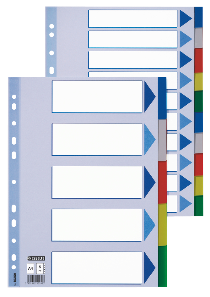 Esselte Kunststoff-Register, blanko, A4, PP, 10-teilig