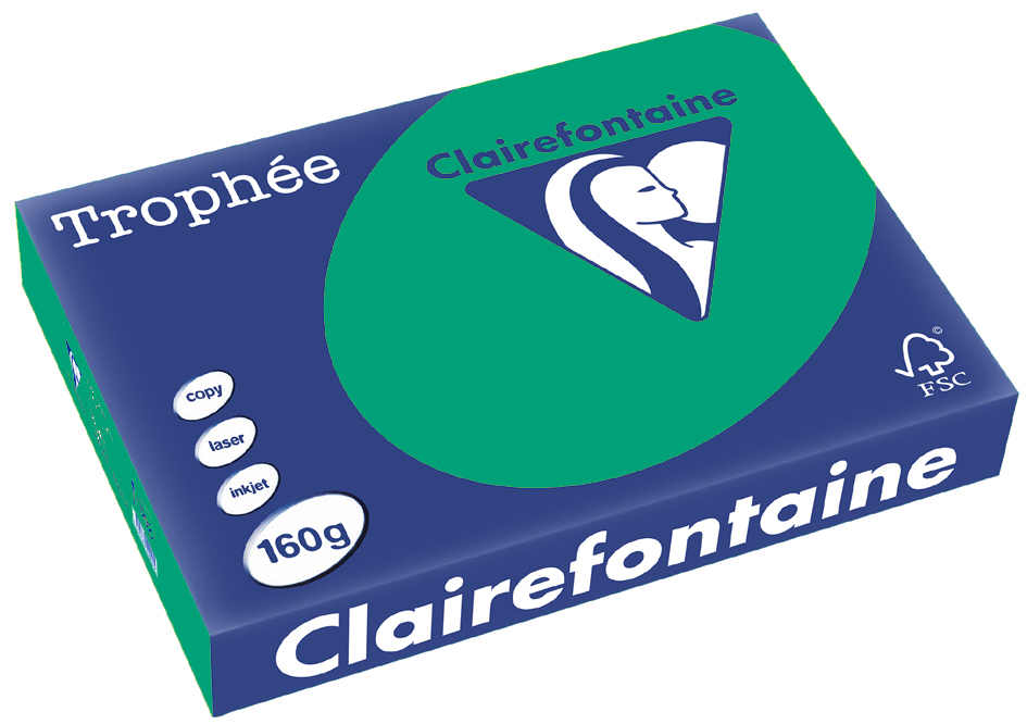 Clairefontaine Trophée Papier 1019C, A4, 160 g/m² - tannengrün - tannengrün