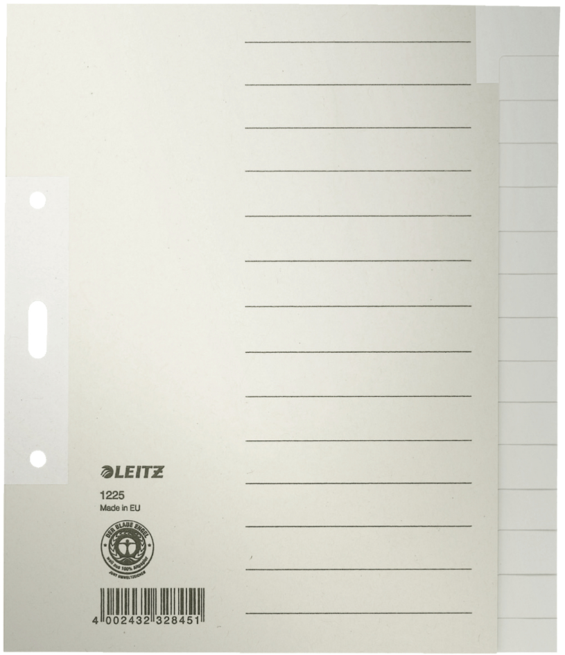 LEITZ Tauenpapier-Register, blanko, A5, 15-teilig, grau