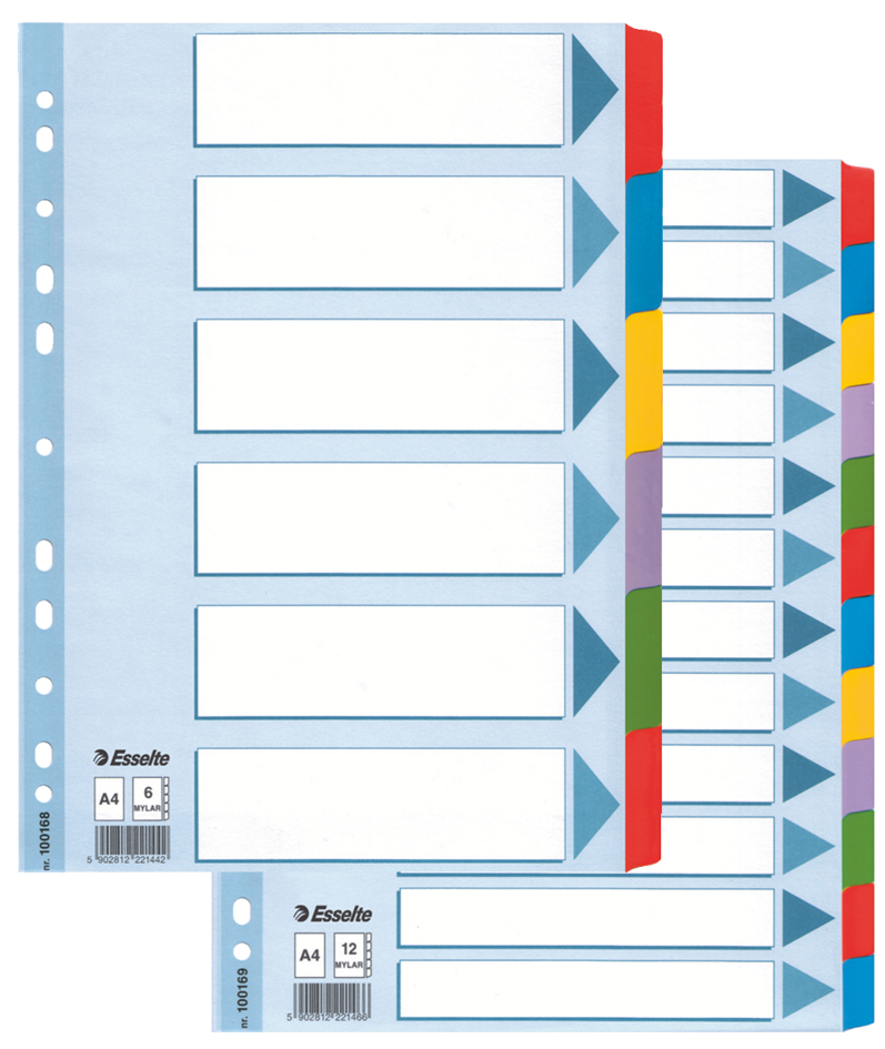 Esselte Karton-Register, blanko, A4, 12-teilig, mehrfarbig