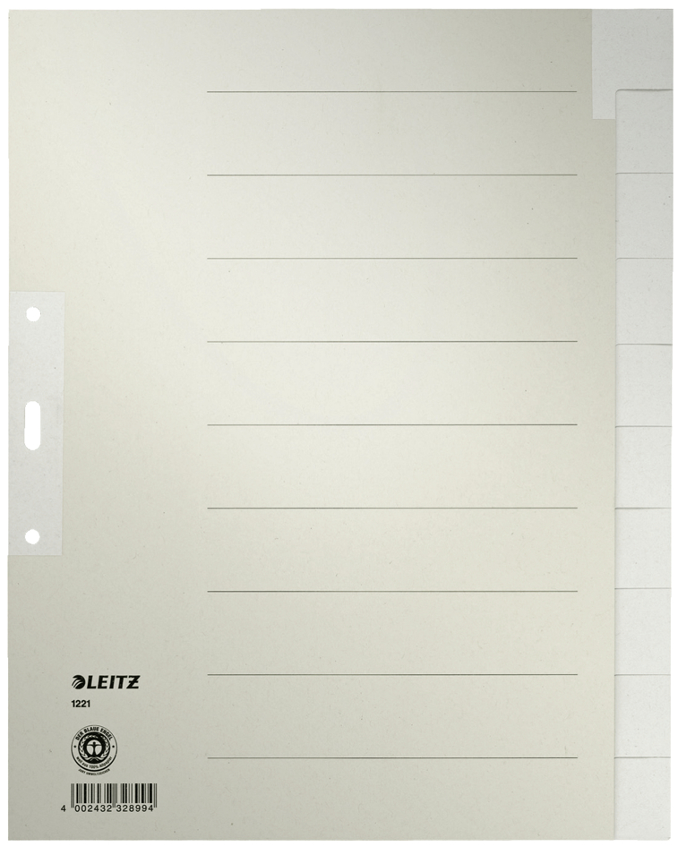 LEITZ Tauenpapier-Register, blanko, A4, 20-teilig, grau