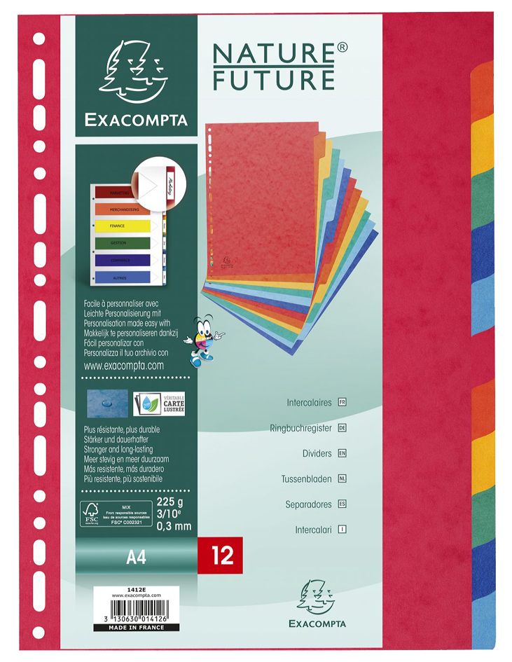 EXACOMPTA Karton-Register, DIN A4, 12-teilig