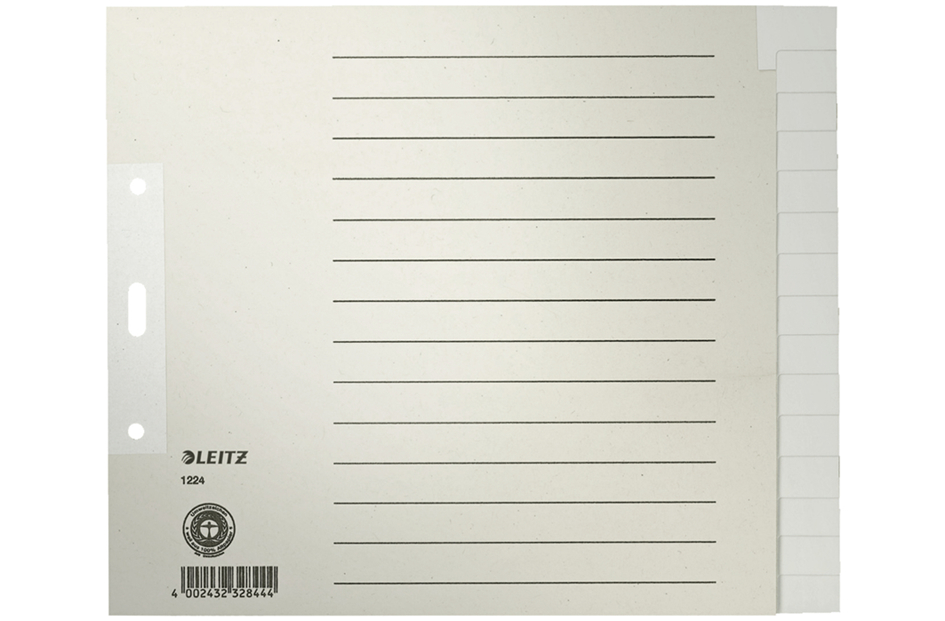 LEITZ Tauenpapier-Register, blanko, A4, 20-teilig, grau