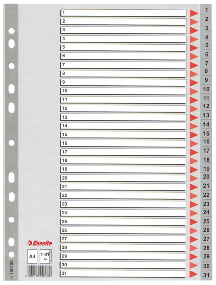 Esselte Kunststoff-Register, Zahlen, A4, 1-31, grau