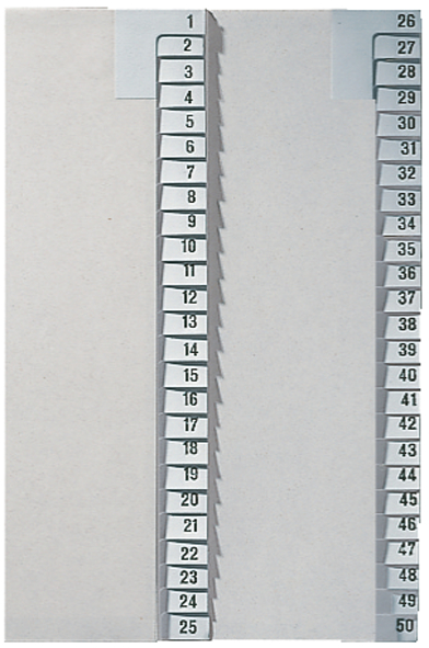 LEITZ Tauenpapier-Register, Zahlen, A4 Überbreite, 1-25,grau