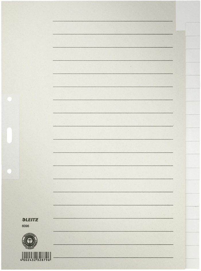 LEITZ Tauenpapier-Register, blanko, A4, 20-teilig, grau