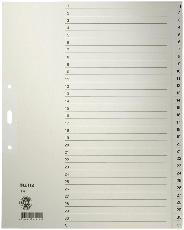 LEITZ Tauenpapier-Register, Zahlen, A4 Überbreite, 1-20,grau