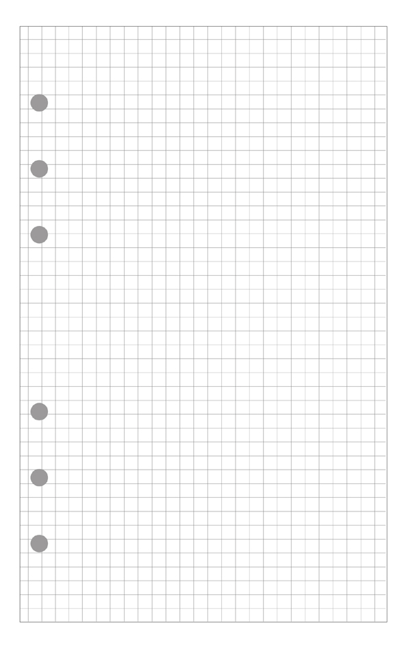 EXACOMPTA Nachfüllung Exatime 17, karierter Block (5 x 5)