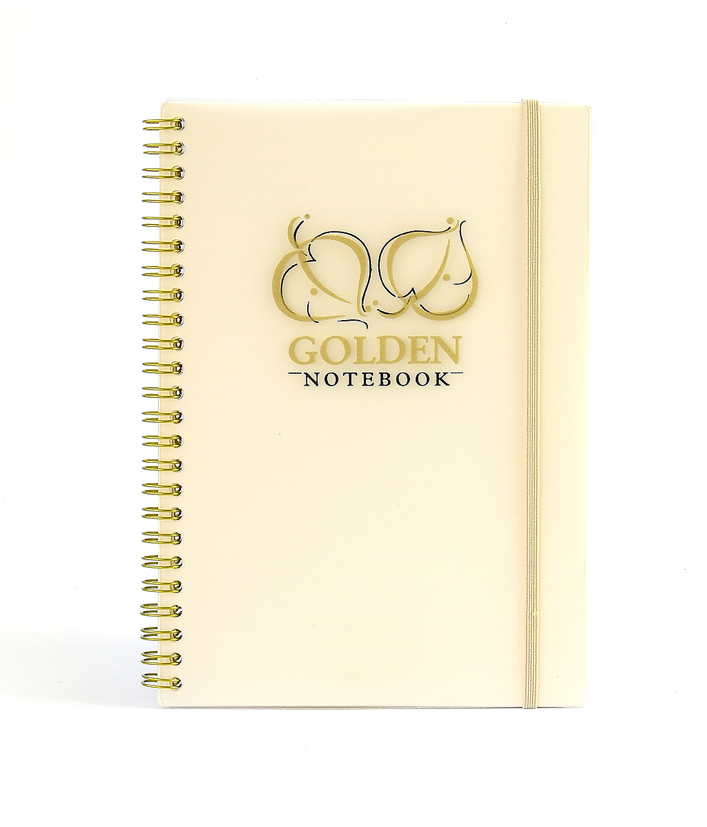 Notizbuch "Golden&Silver", liniert, PP-Transparentcover, Wire-O-Bindung - gold & Format