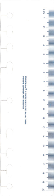 rido idé Terminplaner ´Timing 1´, DIN A5, schwarz, Lasche