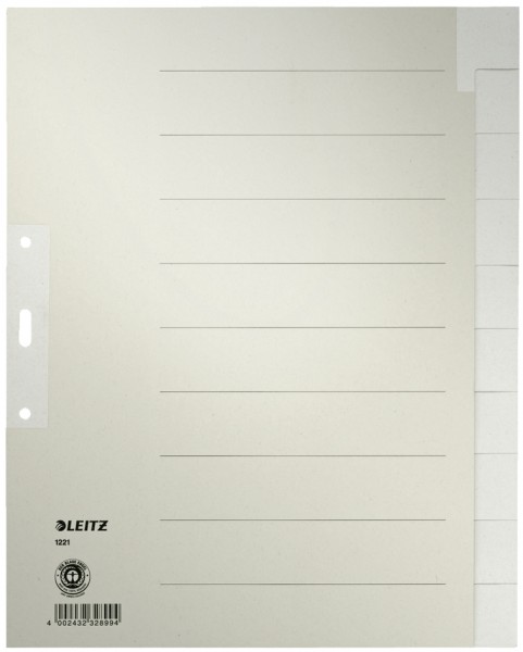 LEITZ Tauenpapier-Register, blanko, A4, 20-teilig, grau